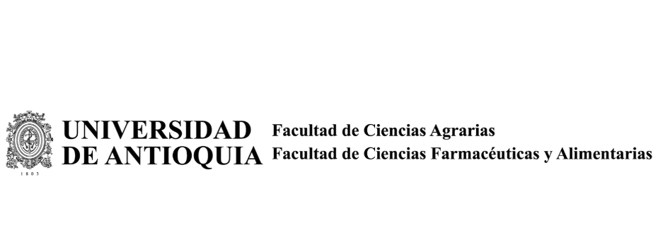 Universidad